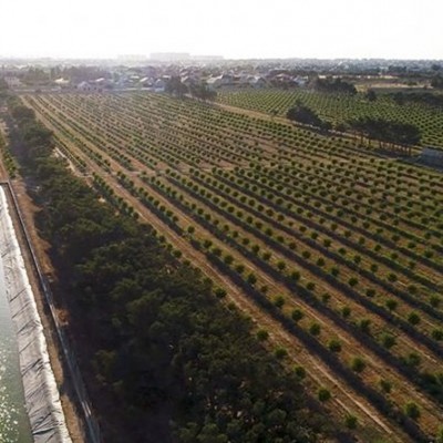 Grand-Agro de Azerbaiyán, finaliza su ambicioso proyecto junto a ESTERYFIL